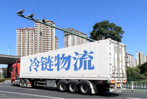 大数据背景下农产品冷链物流模式的缺点分析