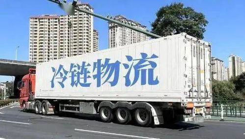 价值链再造视角下的农产品冷链物流发展浅析
